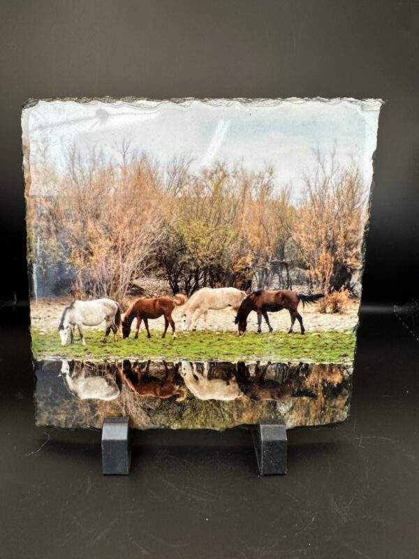 A herd of four hourses peacefully grazing in front of a still lake that shows their reflections.