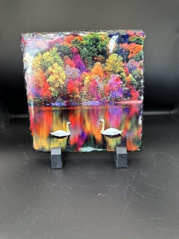 A stone slate with a glossy image of two white swans on a peaceful lake surrounded by trees in shades of reds, yellows, and pinks.