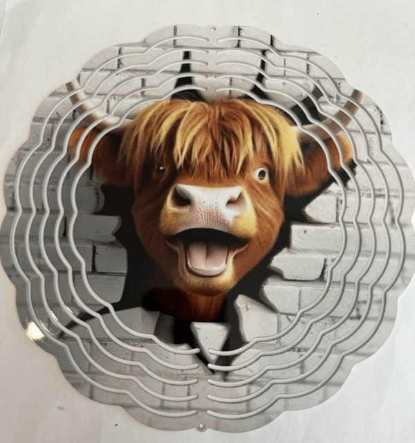 A silly highland cow with an open mouth bursts its head through a brick wall